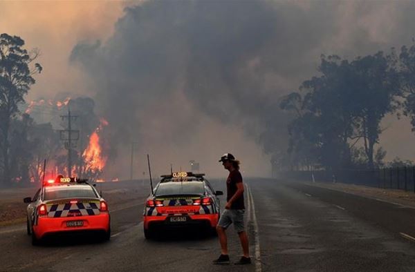 Число жертв лесных пожаров на востоке Австралии увеличилось до 8 человек