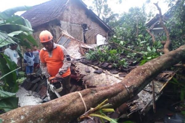 Остров Ява пострадал от мощного ветра: повалены деревья, повреждены здания