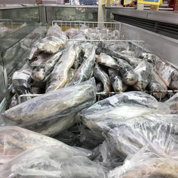 Рыбная биржа наращивает объемы торговли