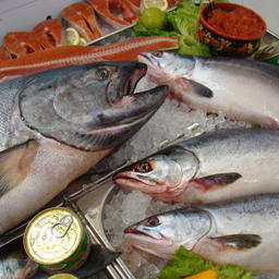 «Апгрейд рыбной отрасли» обсудят на питерском форуме