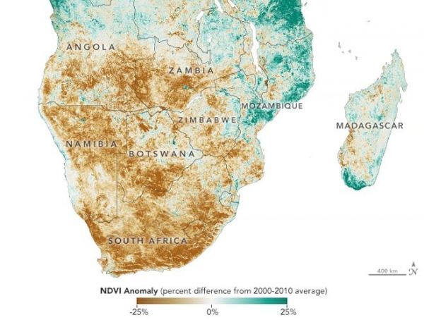 Из-за засухи на юге Африки могут погибнуть около 11 млн человек