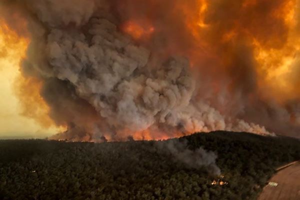 Ущерб от лесных пожаров в Австралии может достигнуть 110 миллиардов долларов