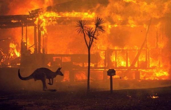 В Австралии усиливаются смертоносные лесные пожары: уничтожены 1,3 тыс. домов