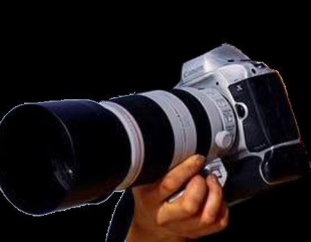 Canon 1DX Mark III получит 20 мегапиксельную матрицу