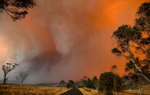 Ущерб от лесных пожаров в Австралии может достигнуть 110 миллиардов долларов